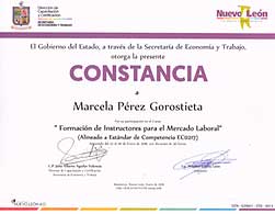 Constancia Constructora NL